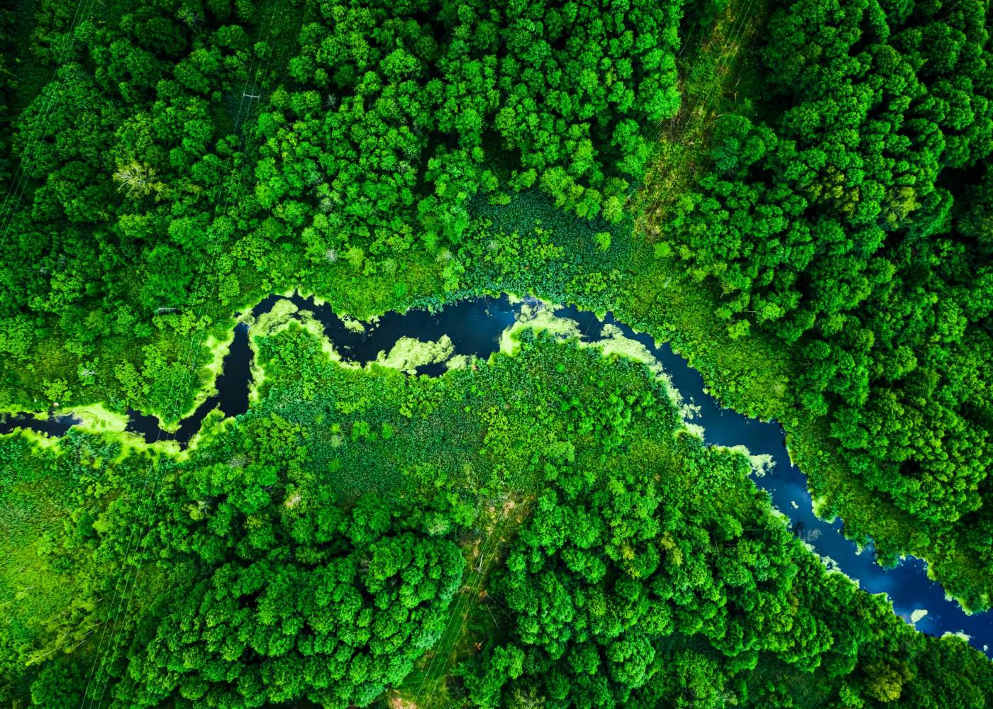 Amazing blooming algae on green river, aerial view